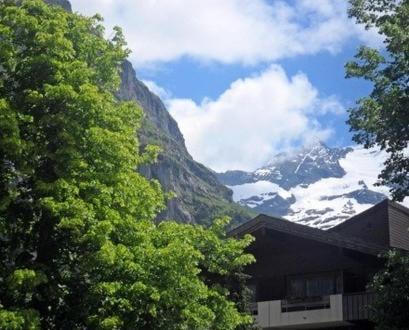 Appartamento Pfaffenstoeckli Grindelwald Camera foto